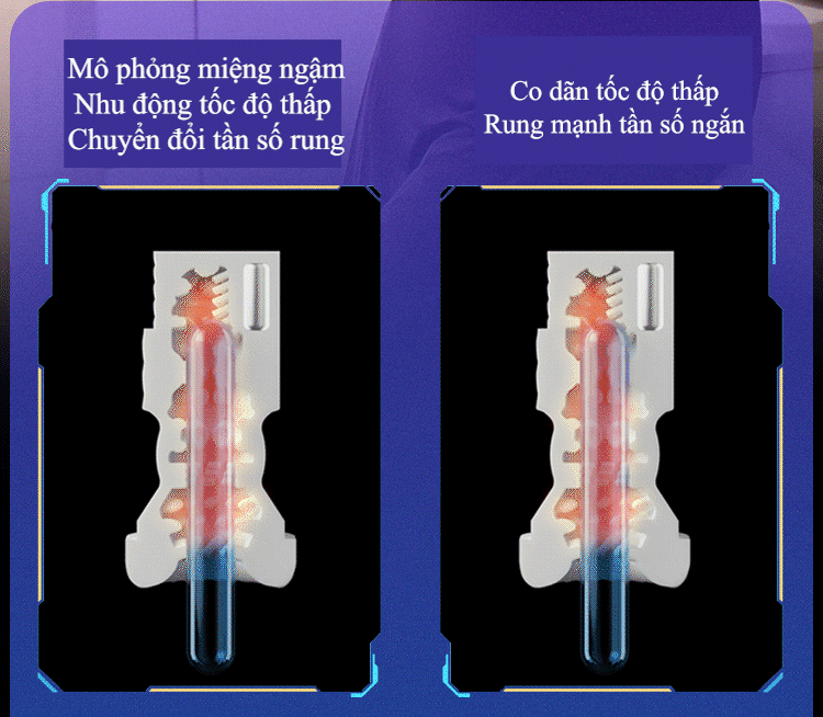 Âm đạo giả EAAYLEVI  13.gif