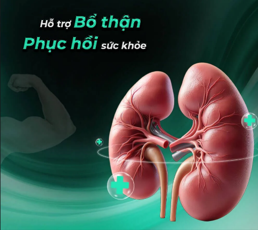 Tăng cường sinh  lý  135.4.png